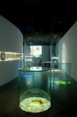Museo Interactivo (Lugo)